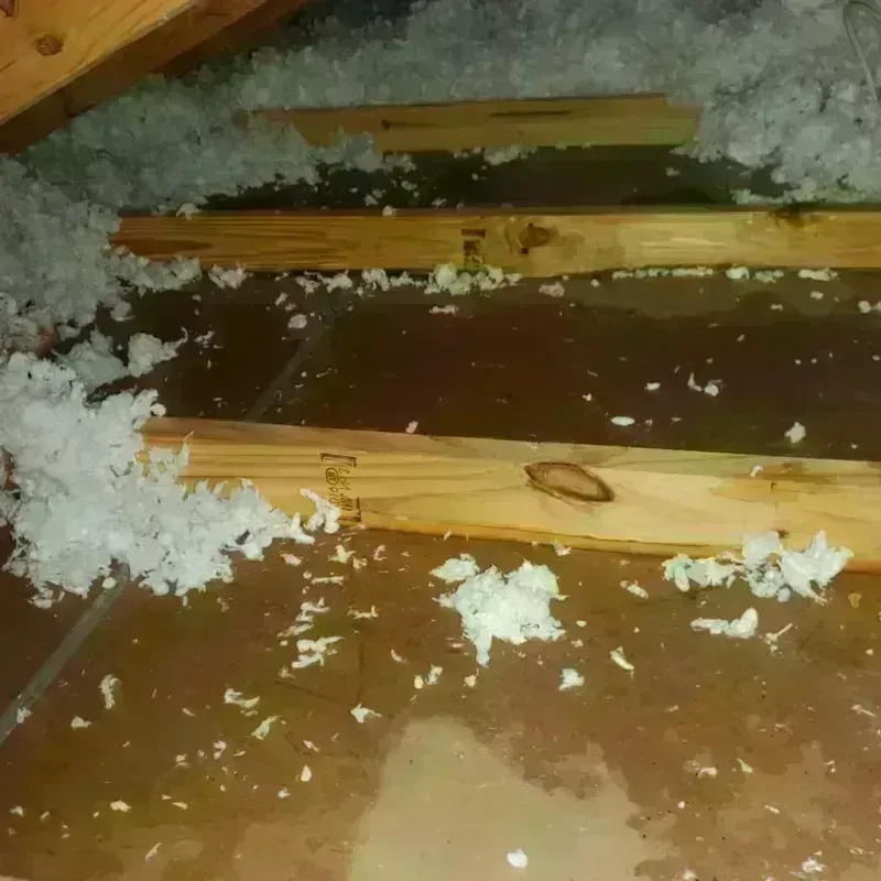 Attic Water Damage in Semmes, AL